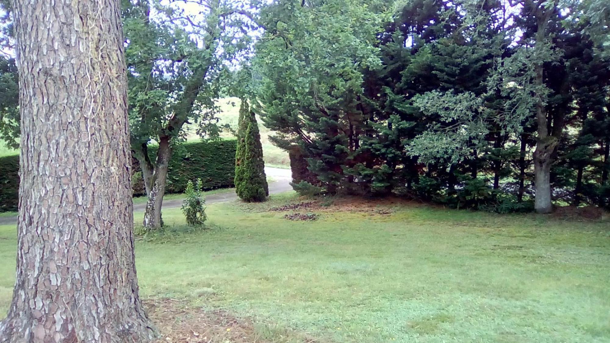 Les Barrerres Bed & Breakfast Hontanx Dış mekan fotoğraf